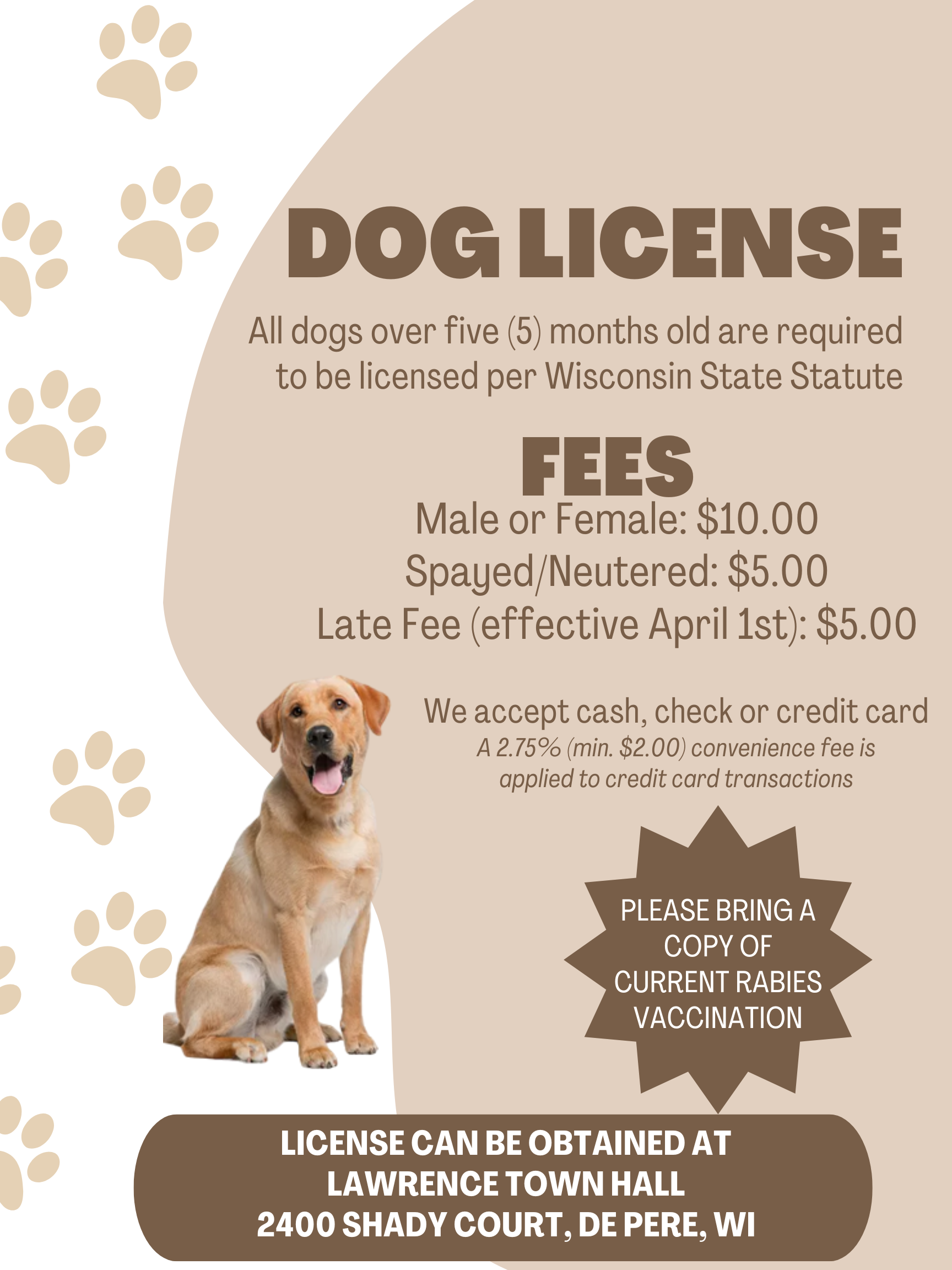 dog license